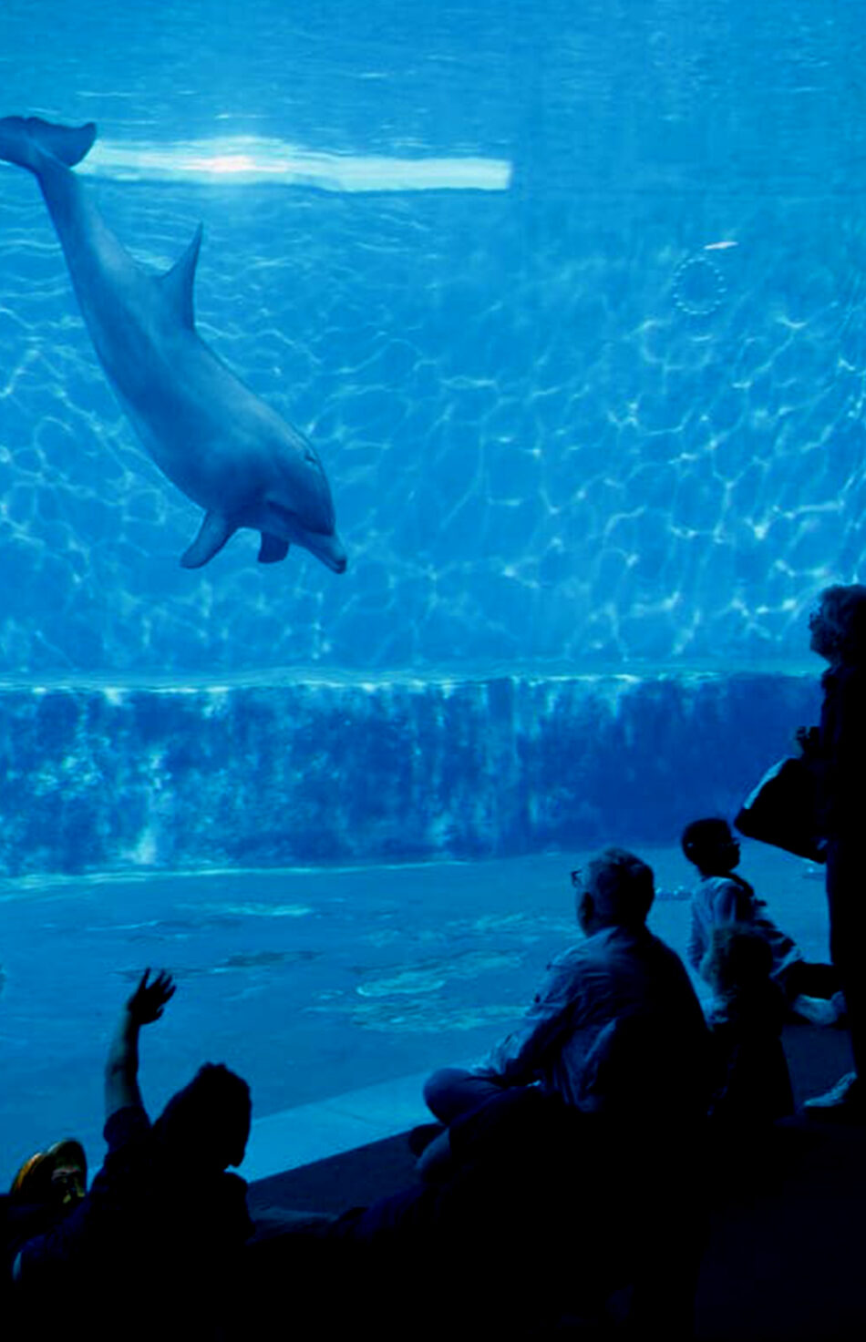 Acquario di Genova