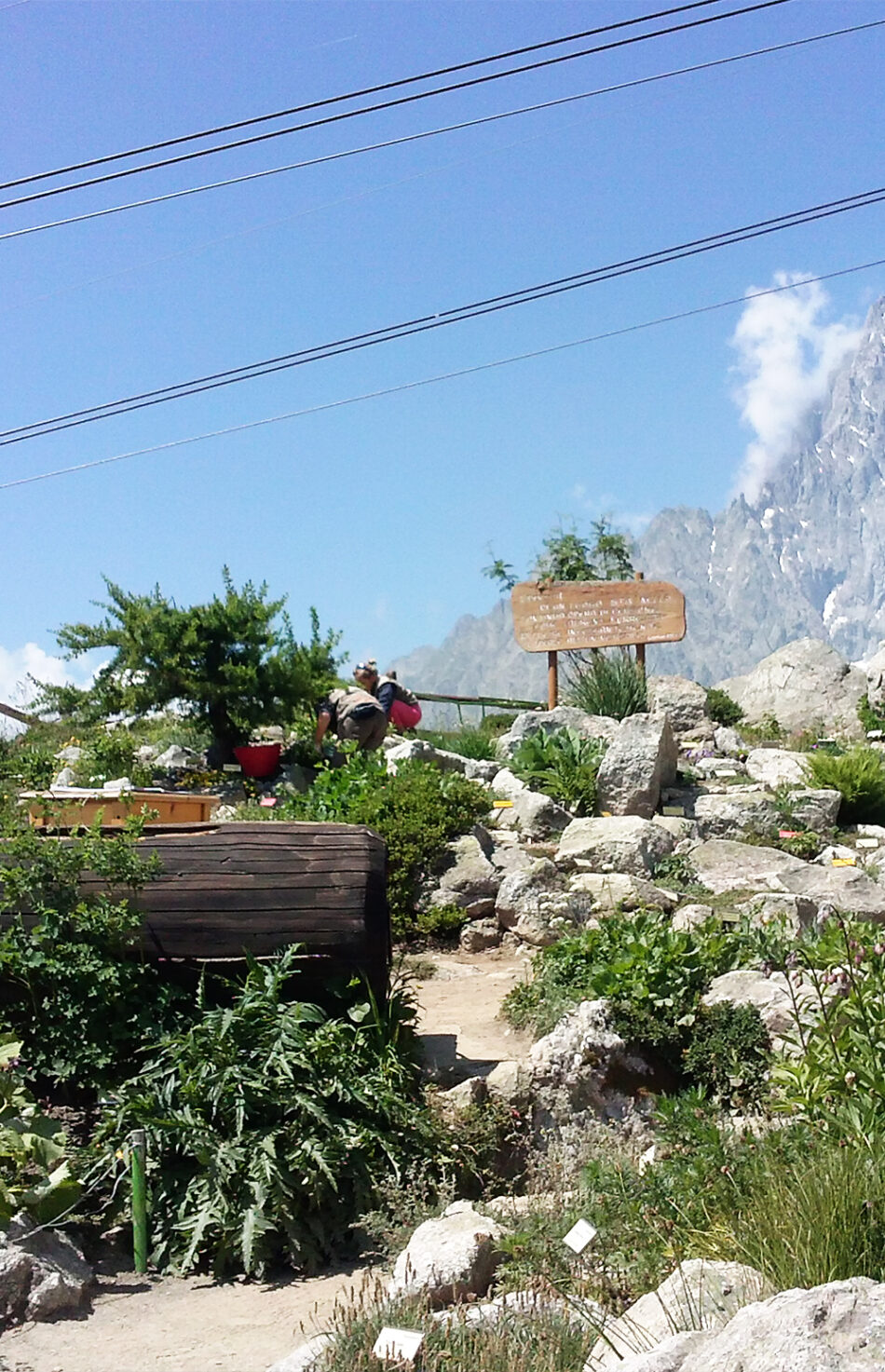 Giardino Botanico Alpino Saussurea